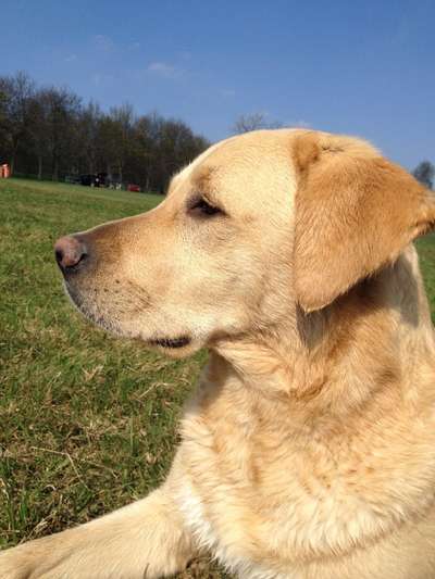 Fotochallenge No. 26                                     Wald und Wiese-Beitrag-Bild