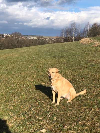 Fotochallenge No. 26                                     Wald und Wiese-Beitrag-Bild