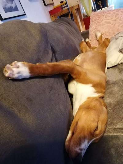 Die unbequemsten und lustigsten Schlafpositionen-Beitrag-Bild