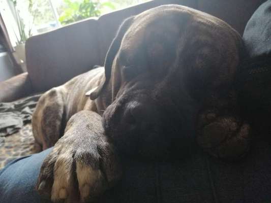 Un...scharf Bilder-Beitrag-Bild