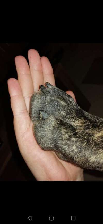 Challenge 30  Freundschaft-Beitrag-Bild