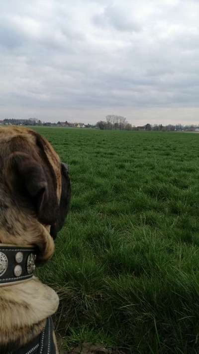 Fotochallenge No. 26                                     Wald und Wiese-Beitrag-Bild