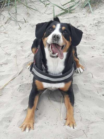 Fotochallange Nr. 57     PORTRÄT.   Beendet!!!!!!!!-Beitrag-Bild