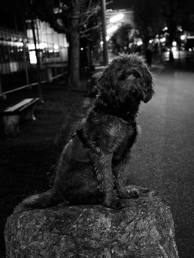 3. Farben/Fotochallenge: Schwarz/Weiß-Beitrag-Bild