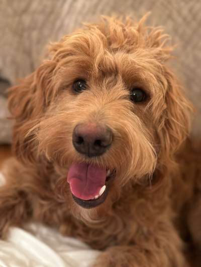 14. Kurzgeschichten – Challenge
Vorfreude auf ein Wiedersehen-Beitrag-Bild