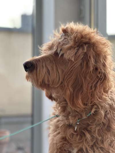 14. Kurzgeschichten – Challenge
Vorfreude auf ein Wiedersehen-Beitrag-Bild