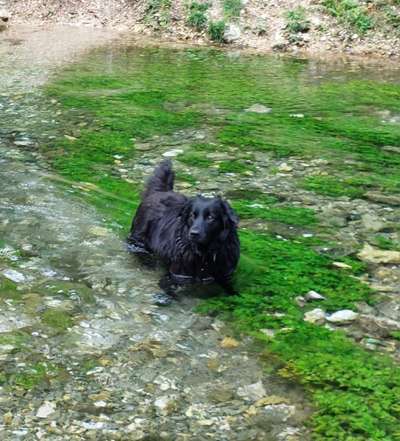 Fotowettbewerb: Wasserratte-Beitrag-Bild