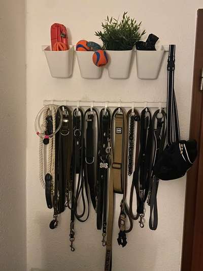 Hundegarderobe-Beitrag-Bild