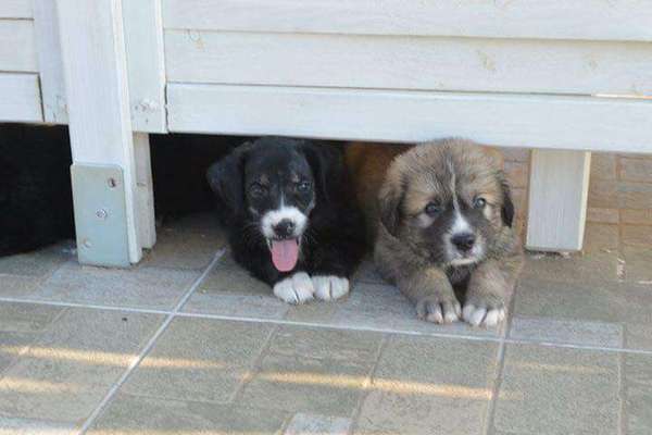 Handy-Foto Challange Nr. 10-Beitrag-Bild