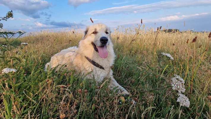 Handy-Foto-Challange Nr.9-Beitrag-Bild