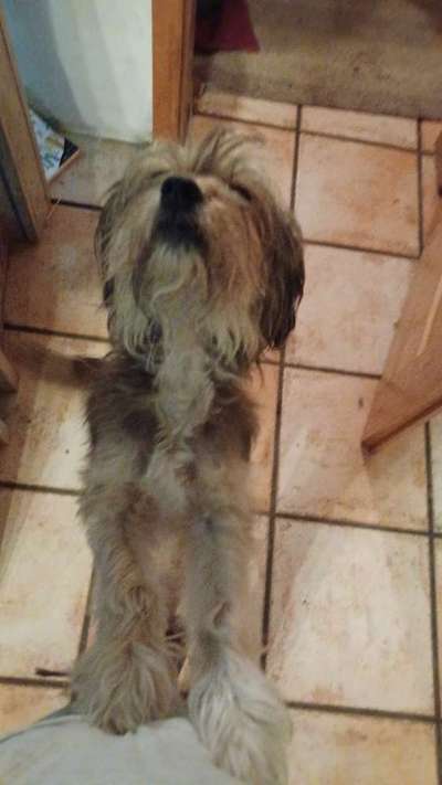 Handy-Foto Challange Nr. 10-Beitrag-Bild