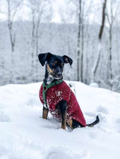 Zeigt euer coolstes winteroutfit-Beitrag-Bild