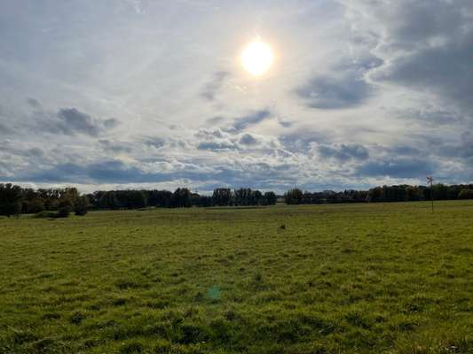 Hundeauslaufgebiet-Truppenübungsplatz Ahlen-Bild