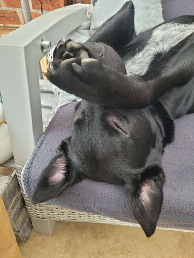 Die unbequemsten und lustigsten Schlafpositionen-Beitrag-Bild