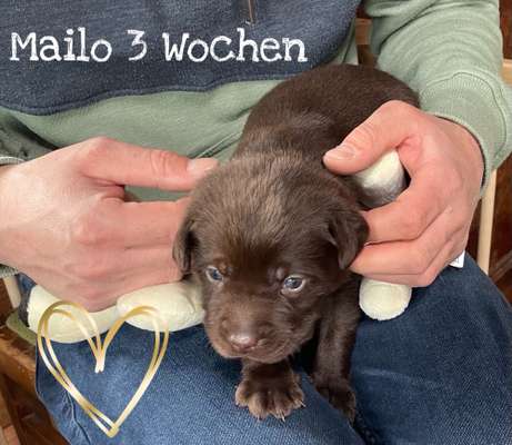 Sie werden so schnell erwachsen ...-Beitrag-Bild