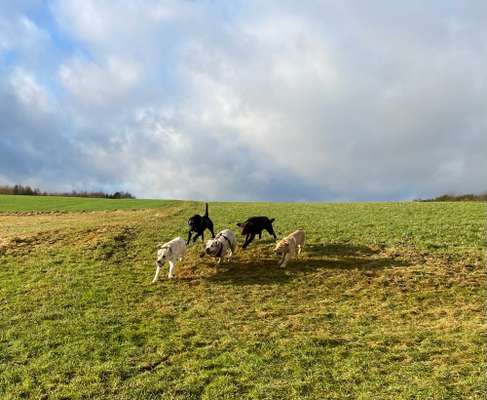 Fotochallenge 69-Beitrag-Bild