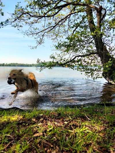 Lieblingsbild-Beitrag-Bild