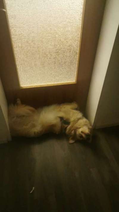 4. Lustiger Schlafplatz-Beitrag-Bild