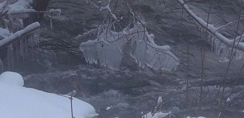 Die wunderschöne Welt mit Hund.-Beitrag-Bild