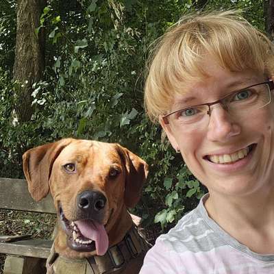 Hundetreffen-Begegnungstraining