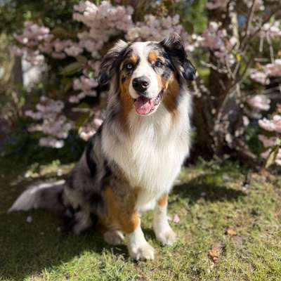 Katrin's Profilbild