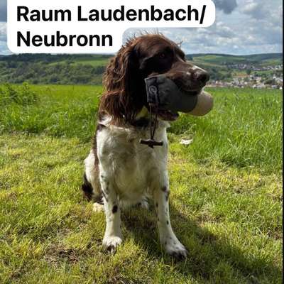 Suchmeldung-Schlamber-Bild