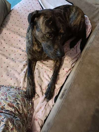 Antihistaminika gegen Juckreiz?-Beitrag-Bild