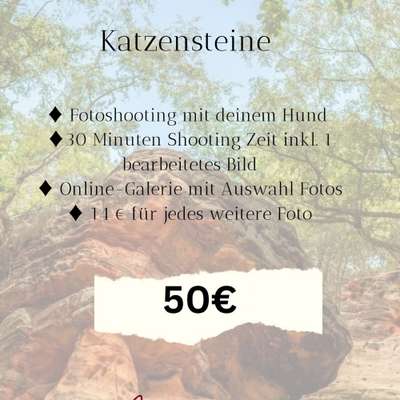 Hundetreffen-Red Rocks Mini-Shooting-Aktion-Bild