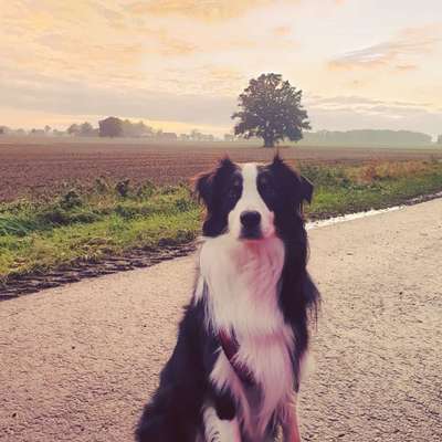 Fotochallenge Nr. 62 Romantische Momente-Beitrag-Bild