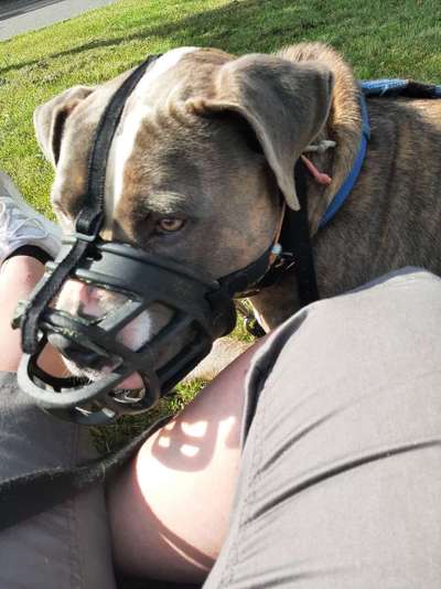 Fotochallange Nr. 57     PORTRÄT.   Beendet!!!!!!!!-Beitrag-Bild