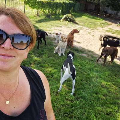 Hundepensionen-Beas Haustierservice-Bild