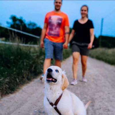 Hundetreffen-Junghundetreffen-Profilbild