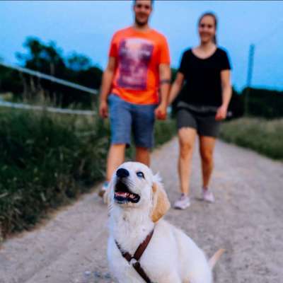 Hundetreffen-Junghundetreffen