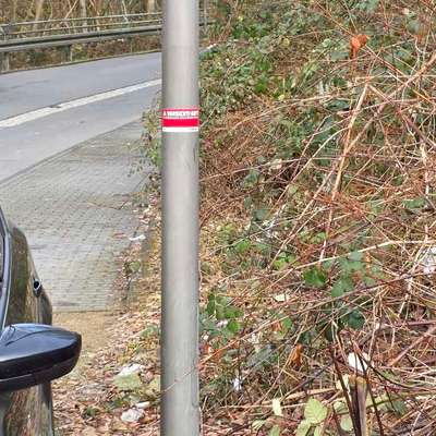 Giftköder-Rattengift-Bild