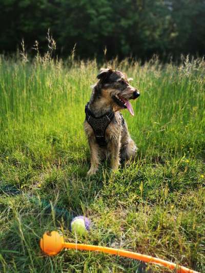 Trainingserfolge-Beitrag-Bild