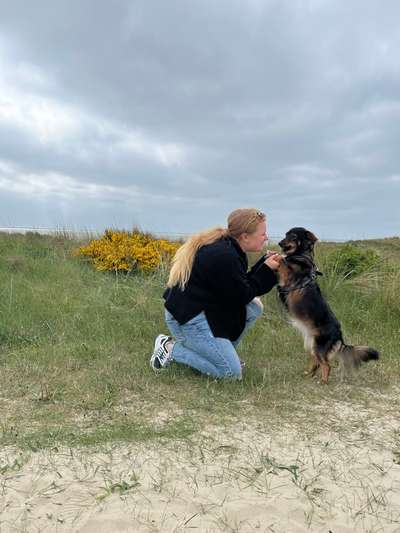 Hundetreffen-Hundespielen in Bremen Hastedt/Jürgenshof-Bild