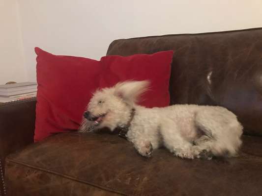 Her mit dem Grimassen-Beitrag-Bild