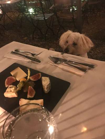 Hier ist der Spaßthread. Zum Schmunzeln und Kaputtlachen-Beitrag-Bild