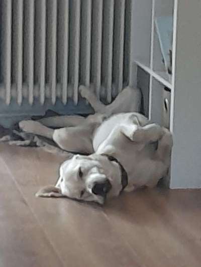 Moviestar-Pics!-Beitrag-Bild