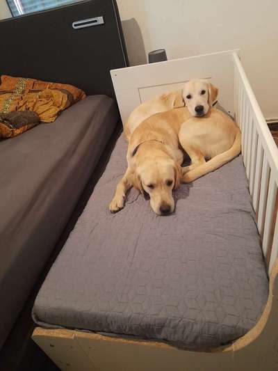 Upcycling - aus Alt mach Neu-Beitrag-Bild