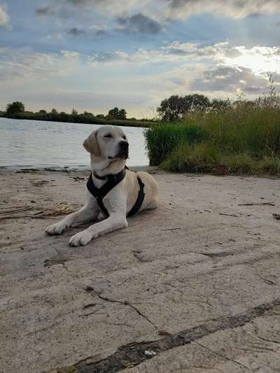 Theos Fotochallange Nummer 4-Beitrag-Bild