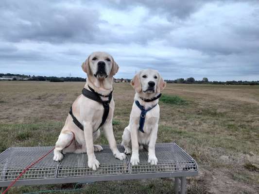 Lieblingsbild-Beitrag-Bild