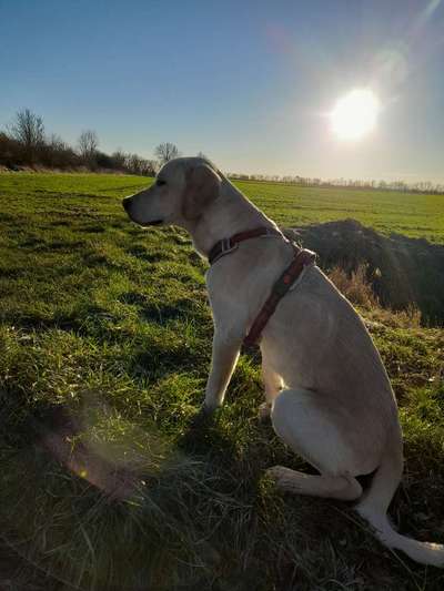 Foto-Challange No.1 - Alles aber nicht die Kamera-Beitrag-Bild