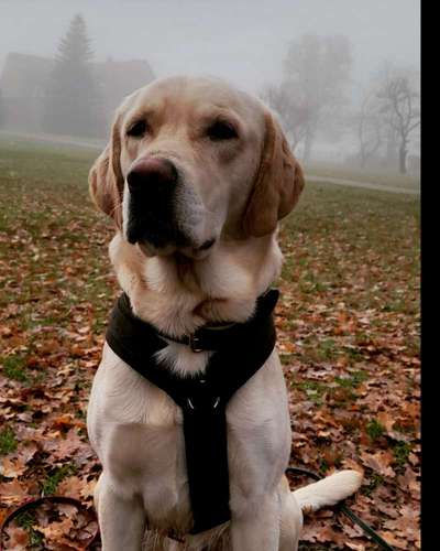 Lieblingsbild-Beitrag-Bild