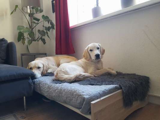 Upcycling - aus Alt mach Neu-Beitrag-Bild