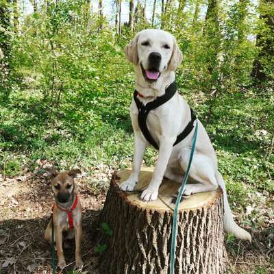 Theos Fotochallenge Nr. 3-Beitrag-Bild