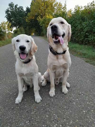 Handyfoto challenge Nr. 13: Waschlappen raus!-Beitrag-Bild