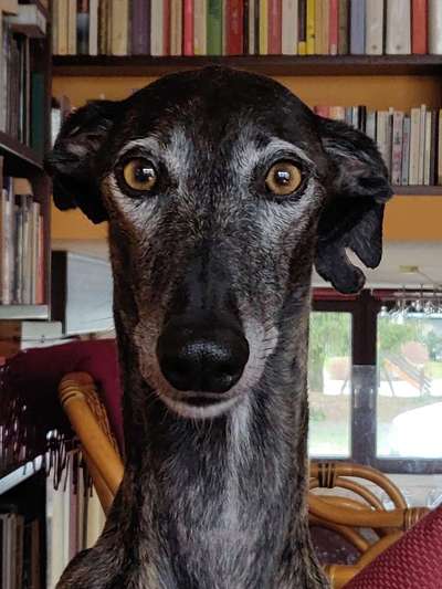 Fotochallange Nr. 57     PORTRÄT.   Beendet!!!!!!!!-Beitrag-Bild