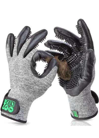 Hundepflege: Bürsten/Kämmen-Beitrag-Bild