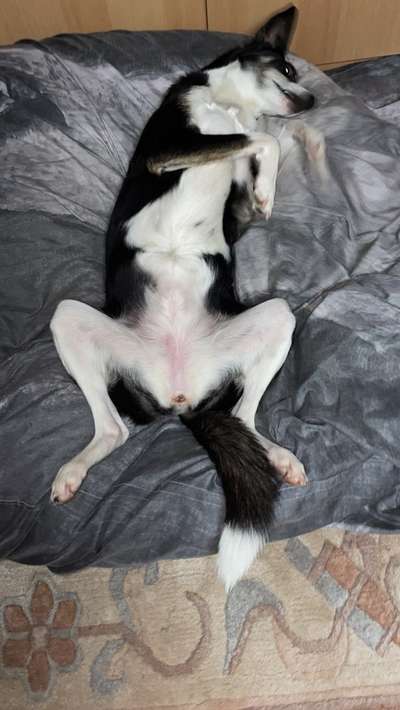 Die unbequemsten und lustigsten Schlafpositionen-Beitrag-Bild